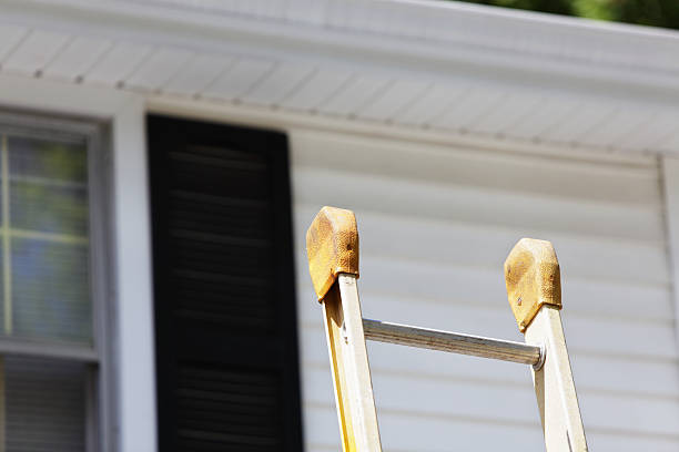 Best Siding Painting and Refinishing  in Pittsboro, NC