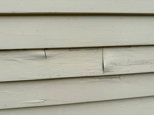 Best Fascia and Soffit Installation  in Pittsboro, NC